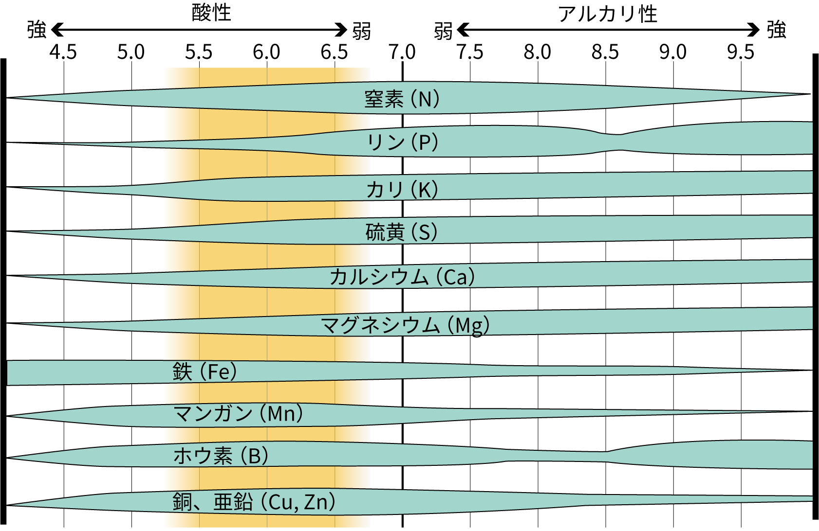 苦土石灰の撒きすぎはNG？適量と、撒きすぎてしまった時の対処法 AGRIs